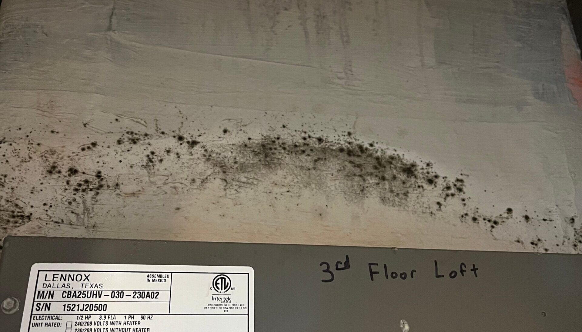 Mold and Mildew What’s the Difference? HomePoint