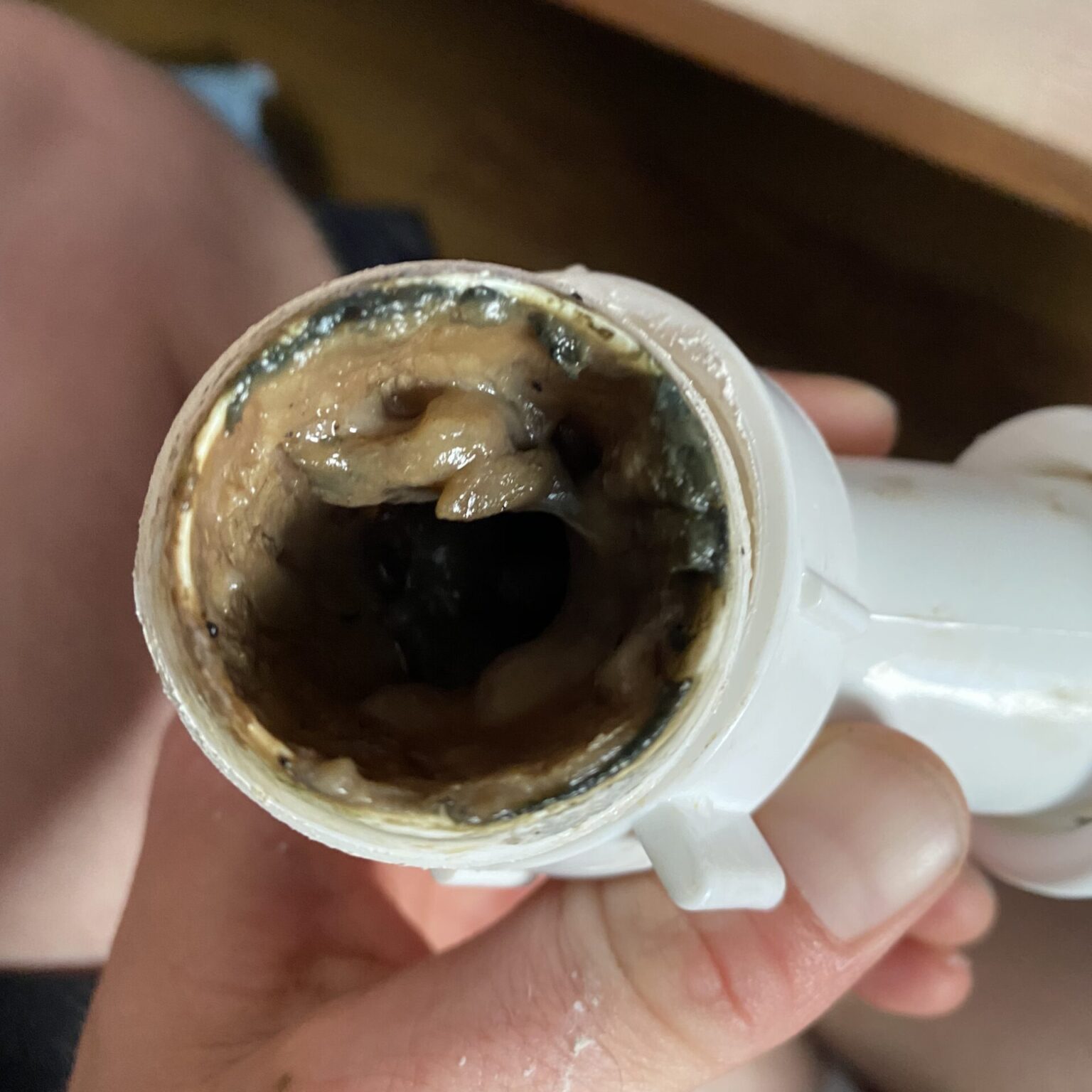 1 Air Conditioning Issue in Austin, TX Homepoint